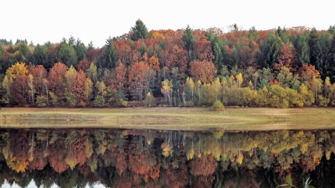 Emergency Plumbing services Toronto GTA